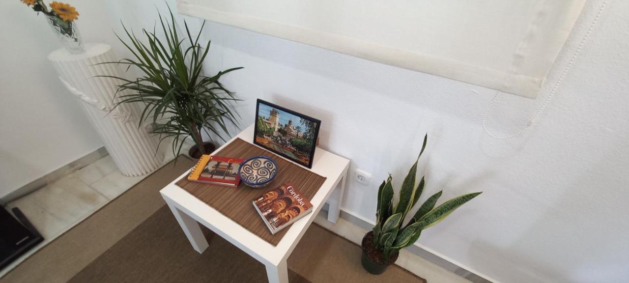 شقة قرطبة  في Apartamento Patio Azul المظهر الخارجي الصورة